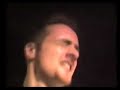 GORILLA BISCUITS - 