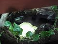 Decided to rehouse 