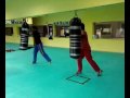 saco box ribereño