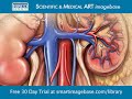 FREE Medical Illustrations & Animations for Educators, Students