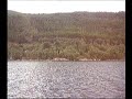 IMG20294