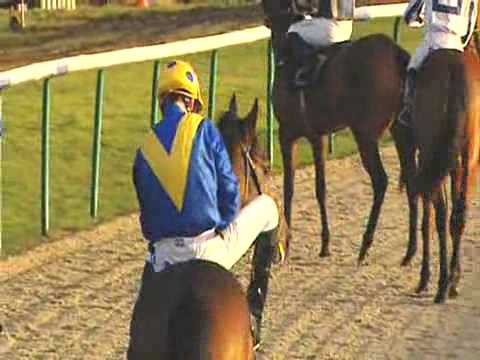 racing post racing post