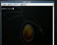 BackTrack 2 Super Better Quality