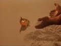 This Mortal Coil \"Waves become wings\"