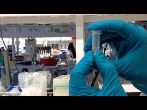 how to isolate cell membranes