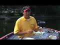 Color Selection: Spinnerbaits