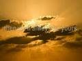 videos de TzedakaSlideLaniado.flv