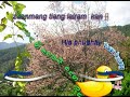 Zaanmang tiang Lairam