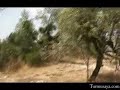 albussa-turmusaya.html