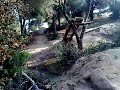 Masana pasarela