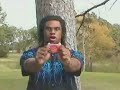 visual-effects-test-provided-by-withoutabox.html