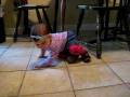 videos de Olivia up and down