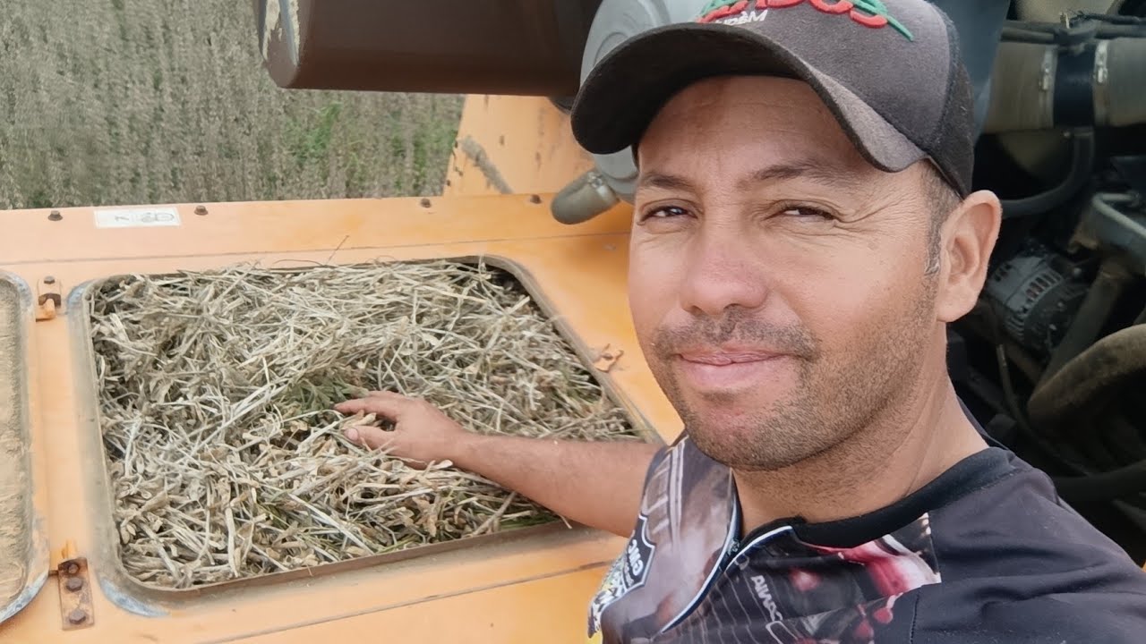 COMEÇANDO A NOSSA COLHEITA DE SOJA  E JA DEU RUIM/// VALTRA BC4500 EMBUCHOU FEIO
