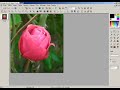 Photofiltre studio