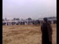 مهرجـــــــان الخيول بالبدائع الوسطي.mp4
