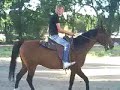 Daniel riding Prince