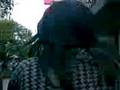 videos de En la Rivadavia como lokos/as