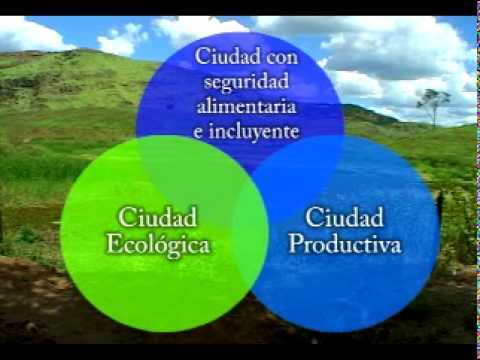 Imagen de previsualización de YouTube