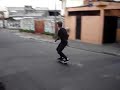 Pombo Skate Punk Dhs z/l