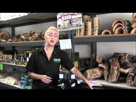 YouTube reptile video