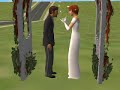 last-day-sims-2.html