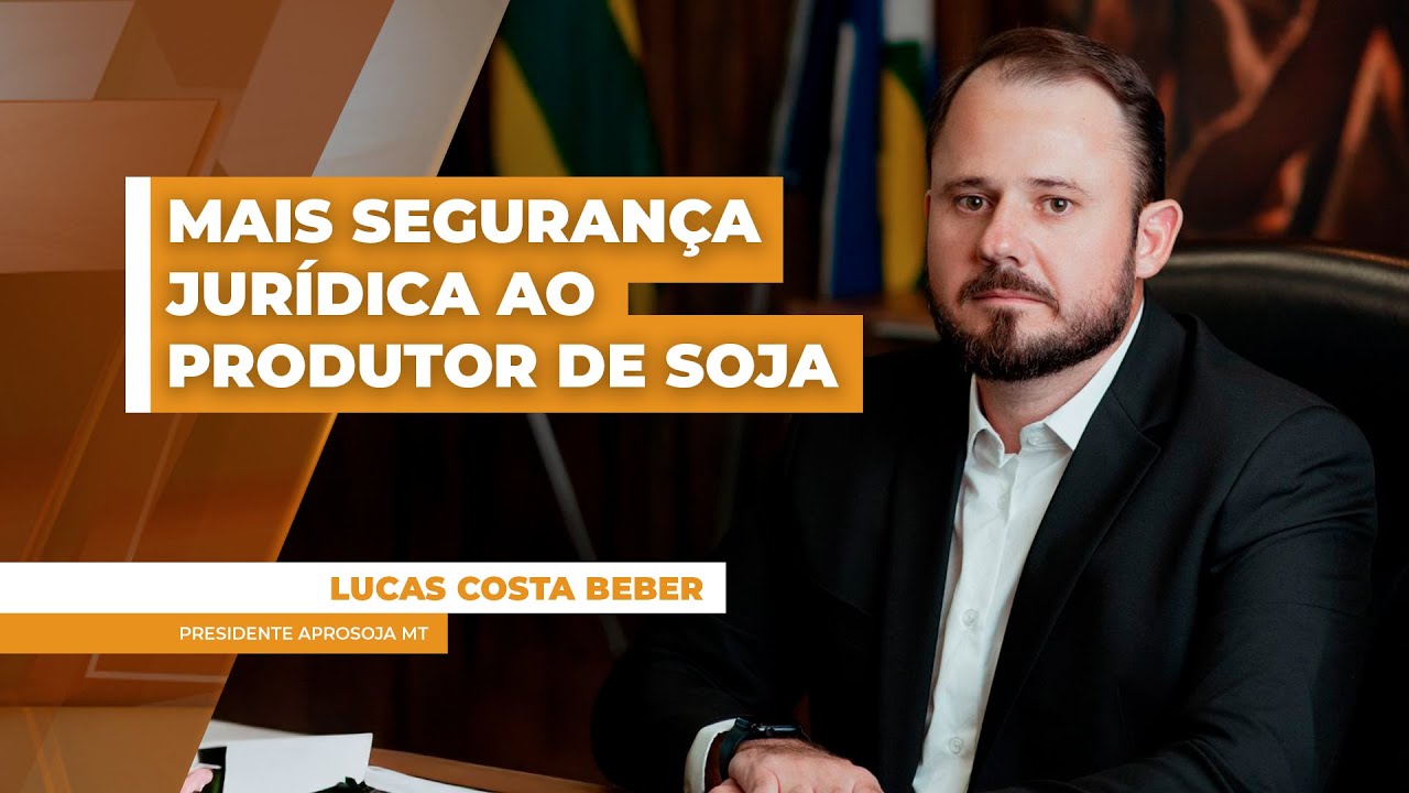 Com saída de tradings da Moratória da Soja, foco está no reparo dos danos sofridos pelos produtor...