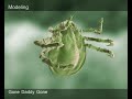 Quentin Vien DemoReel 2007