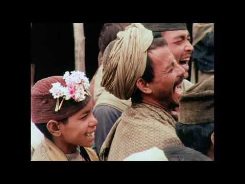 その他 Shamans of the Blind Country [DVD] Amazon.com: Shamans of the Blind Country [5 DVD+2CD] : Bal
