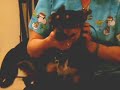 adopt-a-shelter-cat-or-dog.html