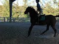 Sadie.MOV