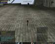 L2 Gold Bug in Goddar Castle