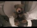 The Adventures of BEAR pt.1, Deep Thought