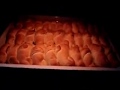 Baker - salt croissants part 3 (Pekar - slane kiflice 3.dio)