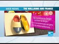 Moving wallonia to France?