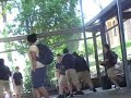 st peters fight