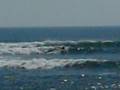 videos de surf nexpa mexique