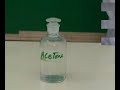 Paper Chromatography BIOLOGY EXPERIMENT