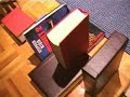 domino de la vie
