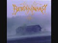 Borknagar - Grimskalle Trell
