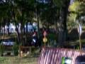 videos de le lion d'angers 2008