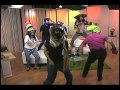 View Video