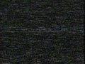 GSC Band 1983.MP4