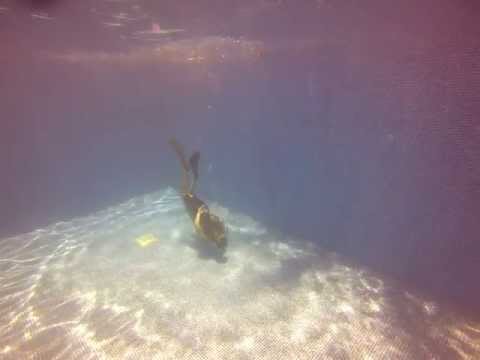 how to practice duck diving