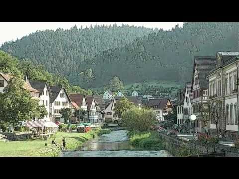 Woud - Dit filmpje is gemaakt om mee te doen aan een videofilmwedstrijd van de Amerikaanse firma NewBlueFX.. Helaas heb ik niet gewonnen.