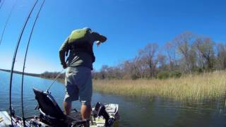 TEXAS BASS FISHING NTXKC Lake Fairfield 2017 Practice