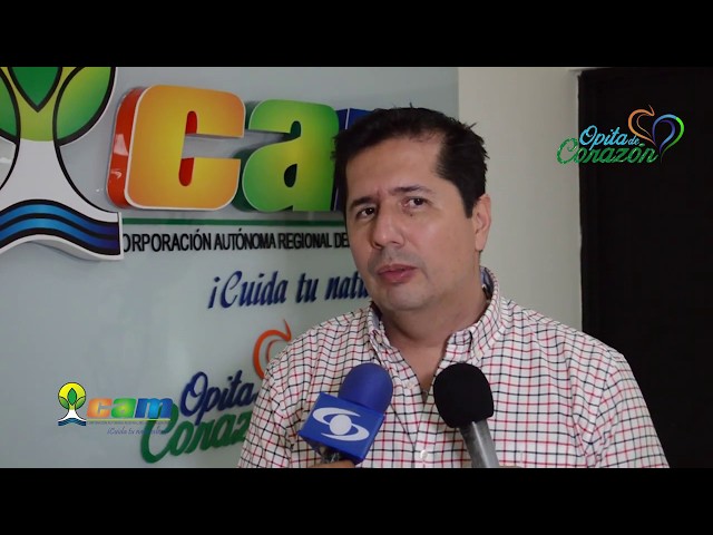 Instalan transmisor satelital a Águila Real de Montaña en el Huila