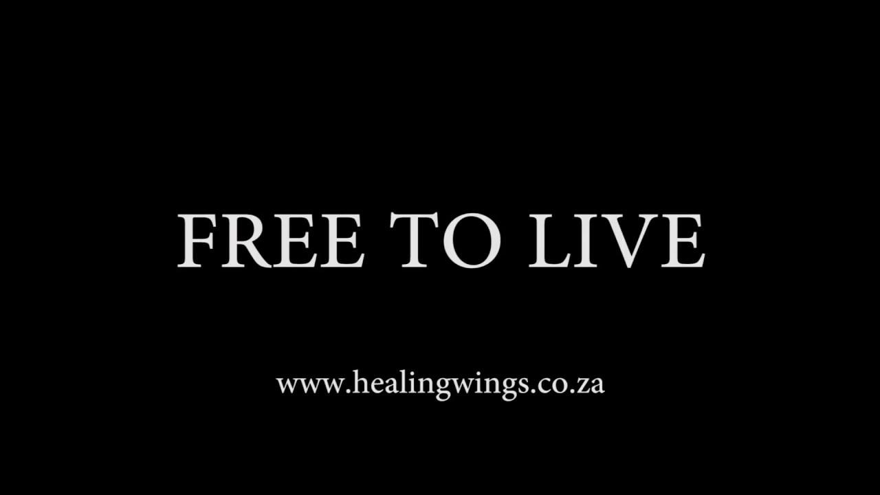 Healing Wings Skills Development