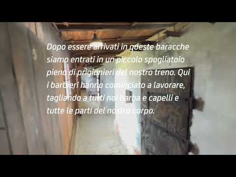 Immagine anteprima YouTube