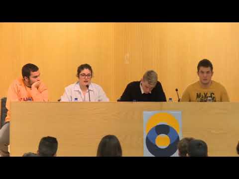 Imatge de previsualització de YouTube