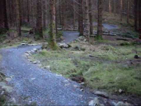 BMX BIKES TRICKS STUNTS CRASHES